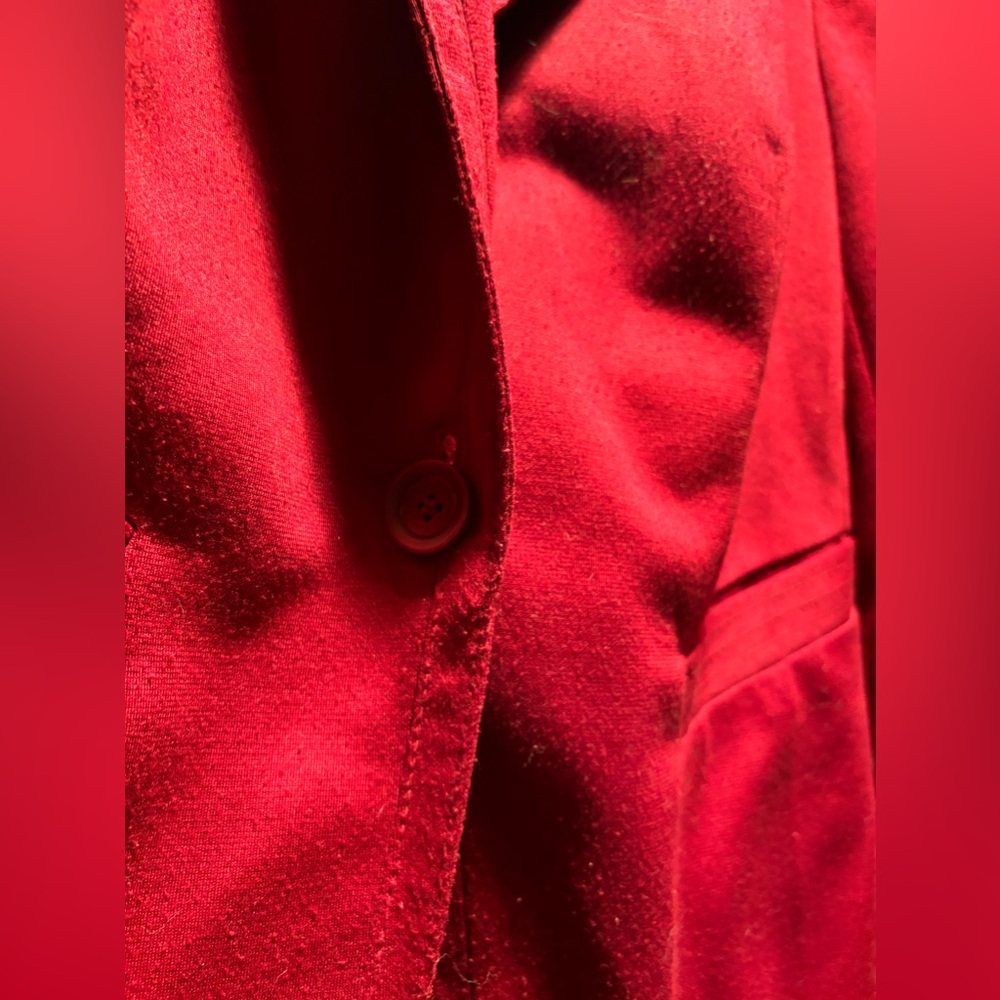 Fitted Raspberry Express Blazer - Picture 3 of 4